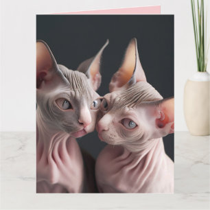 TARJETA GRANDE DE DÍA DE SAN VALENTÍN DE GATO SIN