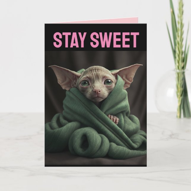 TARJETA GRANDE DE SAN VALENTÍN DE GATO SPHINX LISO (Anverso)