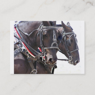 Tarjeta grande del perfil de los caballos