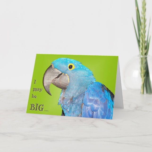 Tarjeta Grande y adorable (Anverso)