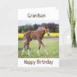 TARJETA *GRANDSON* TU CUMPLEAÑOS ES UN DÍA ESPECIAL<br><div class="desc">¡GRACIAS POR DETENER 1 DE MIS 8 TIENDAS!</div>