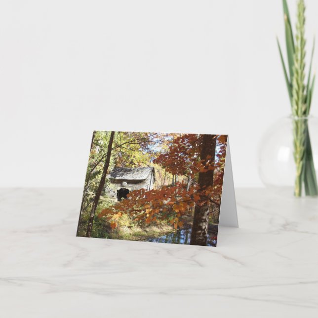 Tarjeta Granero apalache (Anverso)