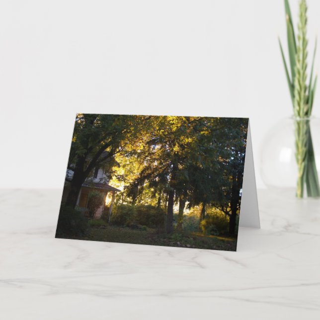 Tarjeta Granja - CricketDiane Country Stube (Anverso)