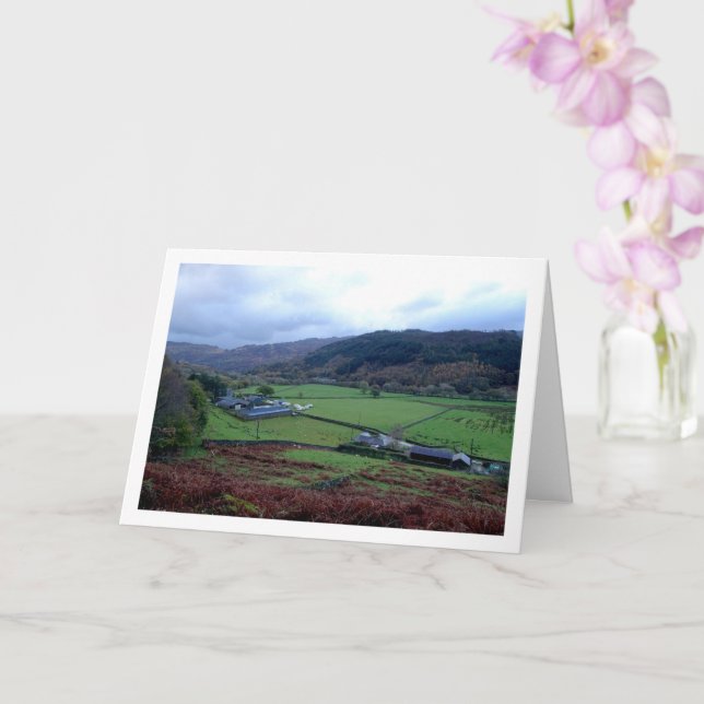 Tarjeta Granja Cwm Llan, Snowdonia, Gales del Norte (Orquídea)