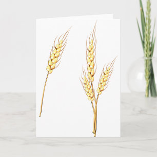 Tarjeta Granja de Tallos de Trigo Dorado Cosecha Grano