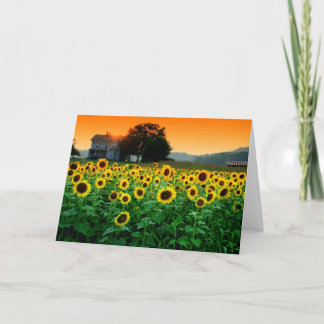 Tarjeta Granja del girasol
