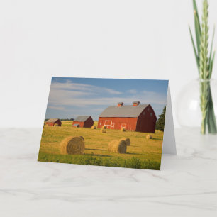 Tarjeta Granjas   Barrios rojos cerca de Hay Bales