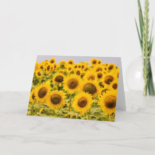 Tarjeta Granjas Un Campo De Girasol