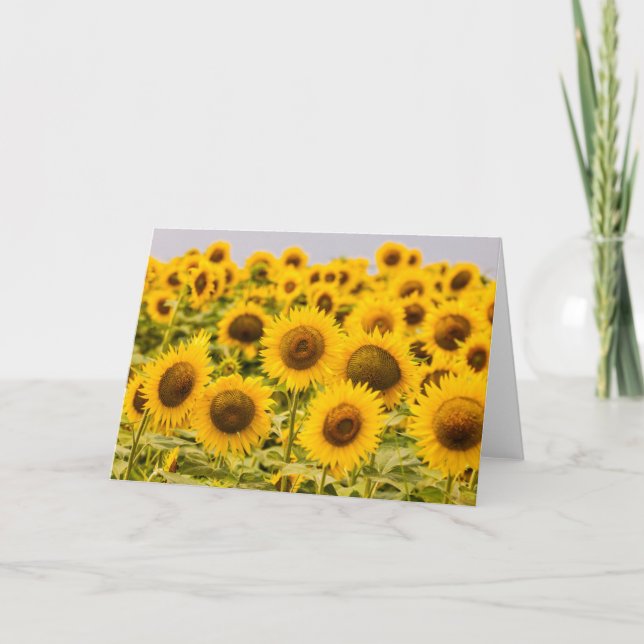 Tarjeta Granjas | Un Campo De Girasol (Anverso)