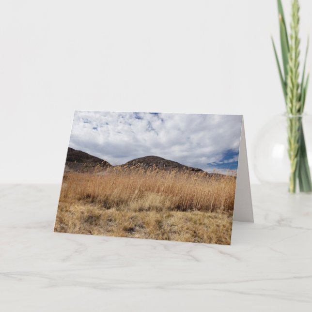 Tarjeta Grano en el desierto, en blanco dentro (Anverso)