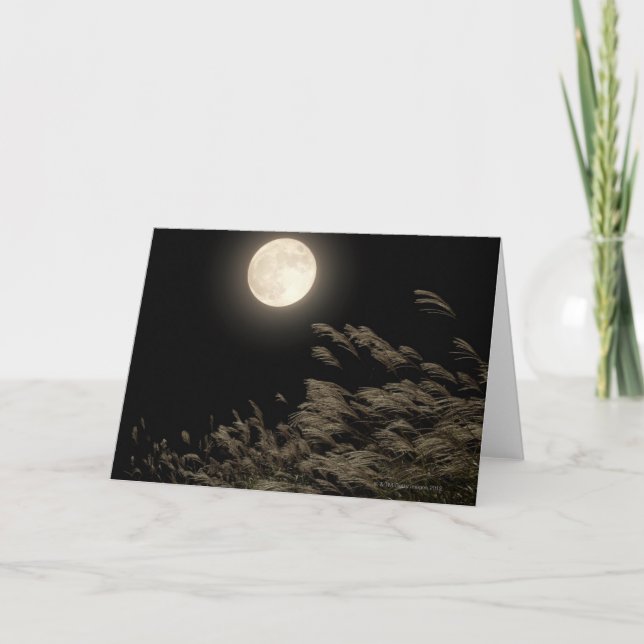 Tarjeta Grasa Pampas Japonesa (Anverso)