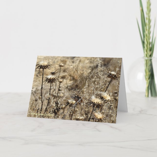 Tarjeta Grasa seca (Anverso)