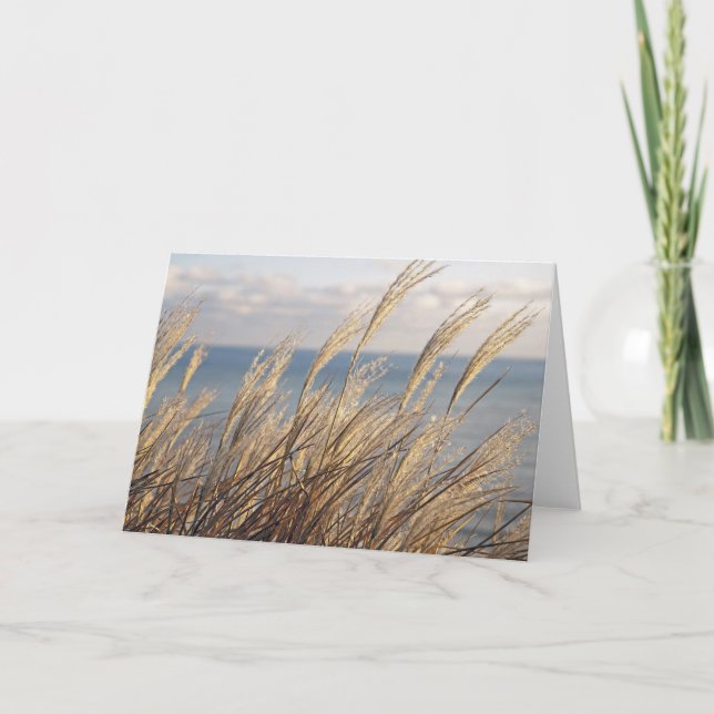 Tarjeta Grasas (Anverso)