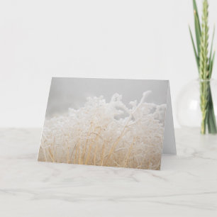 Tarjeta Grasas de invierno escarchadas