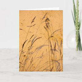 Tarjeta Grasas De Verano Y Sombras