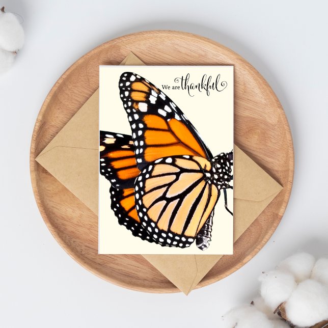Tarjeta Gratitud Fluctuante: Mariposa Monarca Gracias (The Butterfly Studio
We Are Thankful Monarch Butterfly Thank You Card)