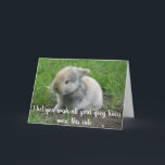 Tarjeta Gray Hair Hare Funny Age Bunny Cumpleaños<br><div class="desc">Este diseño se creó a través del arte digital. Puede ser personalizado en el área de proporcionar o personalizar eligiendo la opción de pulsar para personalizar y cambiando el nombre, las iniciales o las palabras. También puede cambiar el color y estilo del texto o eliminar el texto para un diseño...</div>