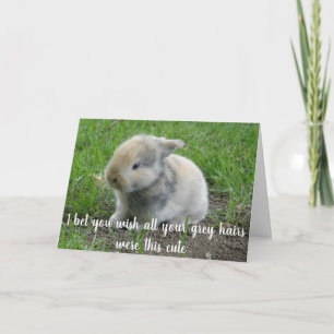 Tarjeta Gray Hair Hare Funny Age Bunny Cumpleaños