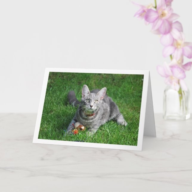 Tarjeta Gray Kitten en el césped con juguete (Orquídea)