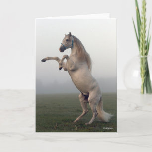 Tarjeta Gray Lusitano Stallion Rearing In Mist