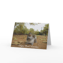 Gray Squirrel Hyde Park Londres.