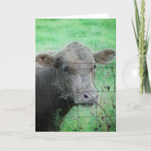 Tarjeta Gray Steer