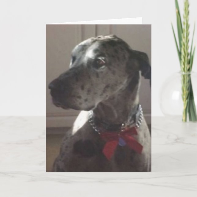 Tarjeta Great dane (Anverso)