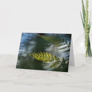 Tarjeta Green Fern Frond Nature Photo