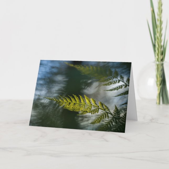 Tarjeta Green Fern Frond Nature Photo (Anverso)