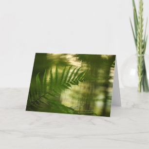 Tarjeta Green Fern Frond Nature Photo