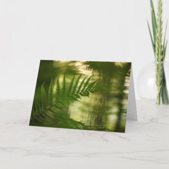 Tarjeta Green Fern Frond Nature Photo (Anverso)