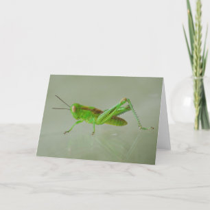 Tarjeta Green Grasshopper