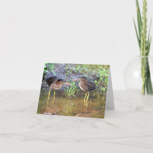 Tarjeta Green Herons Friendship Greeting Card