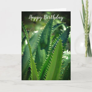 Tarjeta Green Sea Leaf Garden Plant Happy Birday