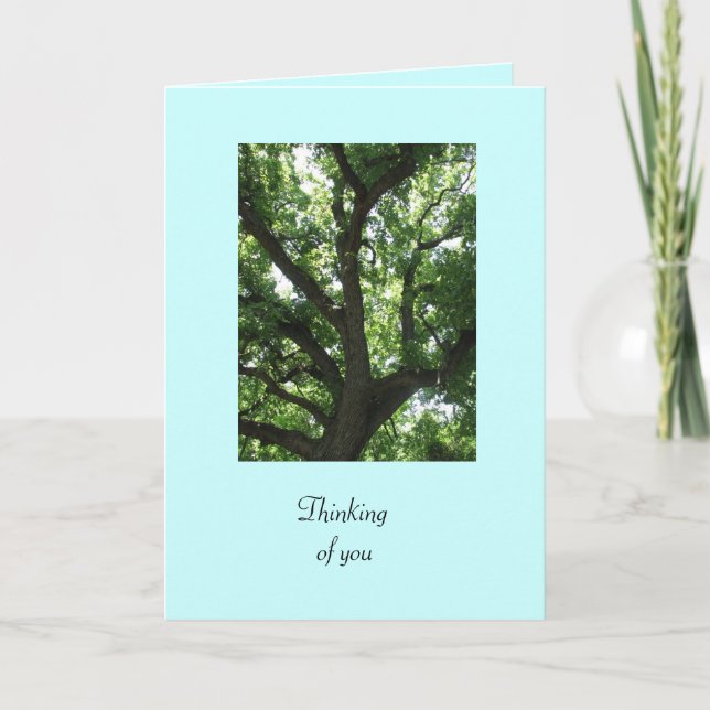 Tarjeta Green Tree Get Well Card (Anverso)