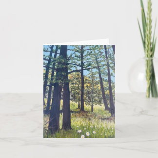 Tarjeta Greer, Arizona; Senderismo por el bosque