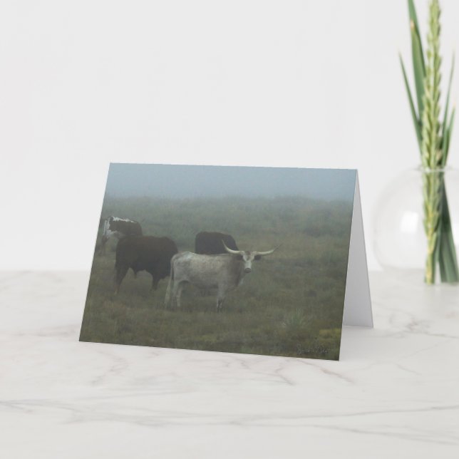 Tarjeta Greeting Card "Longhorns in the Fog" (blank inside (Anverso)