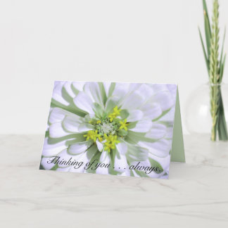 Tarjeta Greeting Card-Thinking of you-Lemony White Zinnia