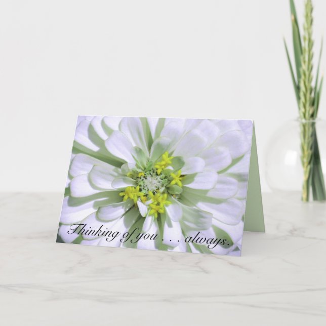 Tarjeta Greeting Card-Thinking of you-Lemony White Zinnia (Anverso)
