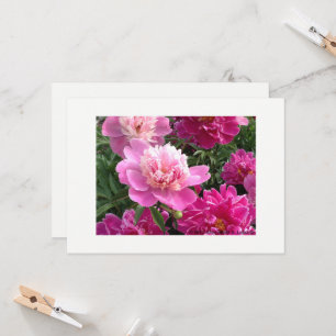 Tarjeta Greeting card with beautiful peonies