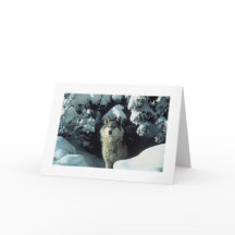 Grey Wolf In Snow Photo Card