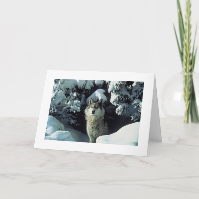 Tarjeta Grey Wolf In Snow Photo Card (Anverso)