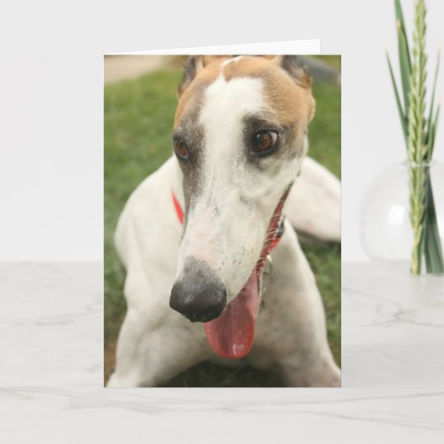 Tarjeta Greyhound (Anverso)