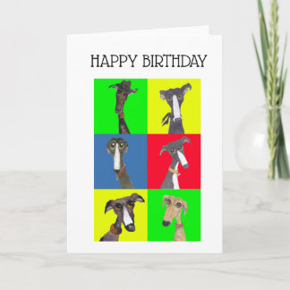 TARJETA GREYHOUND COLLAGE