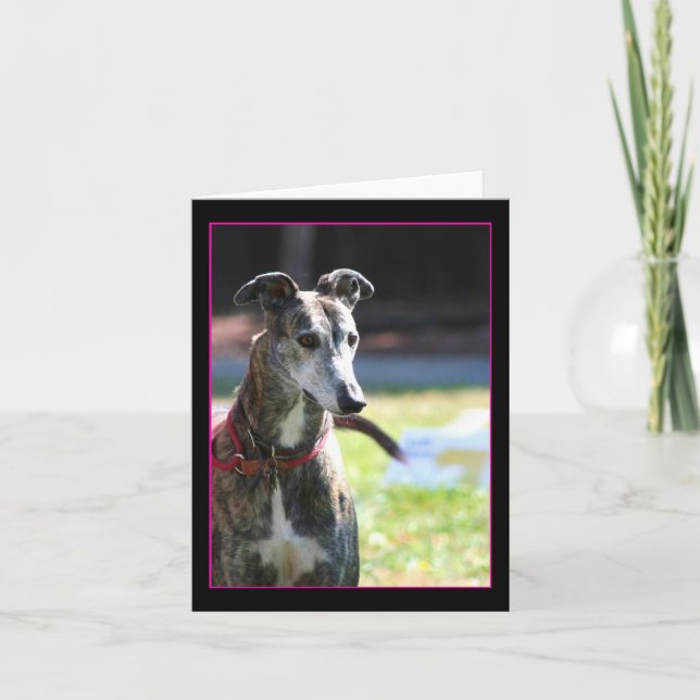 Tarjeta Greyhound notecard (Anverso)