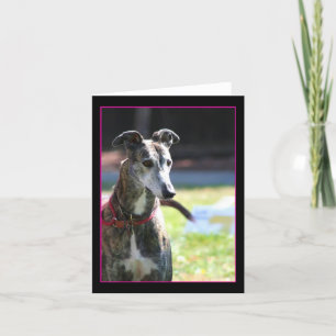 Tarjeta Greyhound notecard