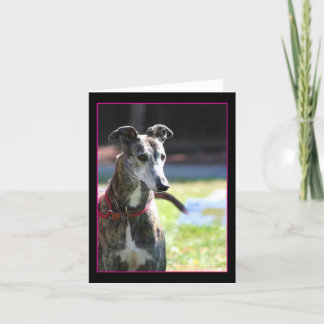 Tarjeta Greyhound notecard