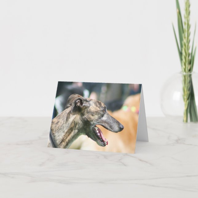 Tarjeta Greyhound Notecard (Anverso)