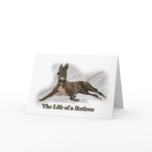 Tarjeta Greyhound retirada