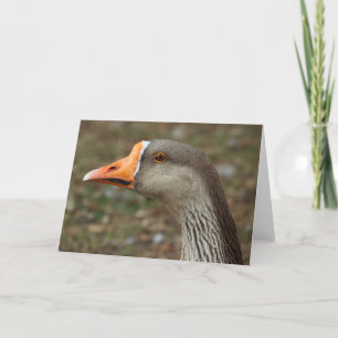 Tarjeta Greylag Swan Goose Cross